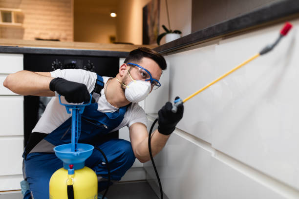Best Affordable Pest Control Services  in Eaton Rapids, MI