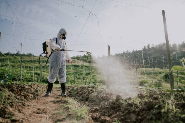 Best Local Pest Control Services  in Eaton Rapids, MI