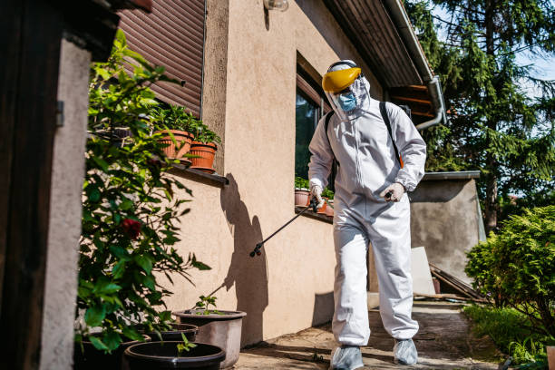 Best Flea Control Services  in Eaton Rapids, MI