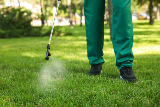 Best Spider Control Near Me  in Eaton Rapids, MI