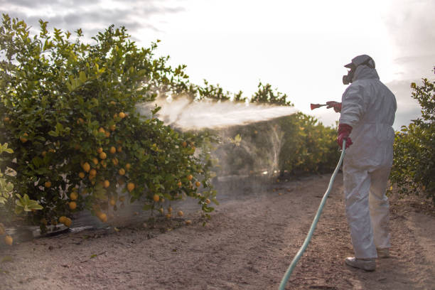 Best Affordable Pest Control Services  in Eaton Rapids, MI