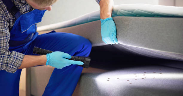 Professional Pest Control in Eaton Rapids, MI