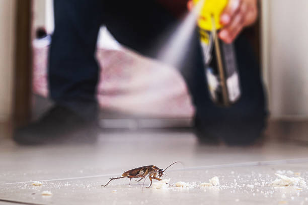 Best Affordable Pest Control Services  in Eaton Rapids, MI