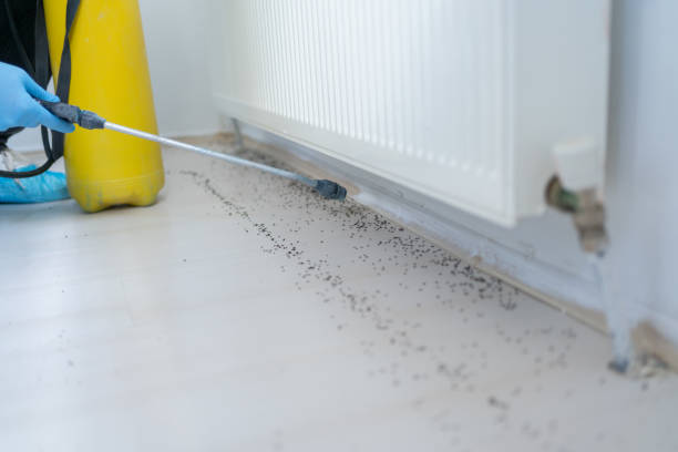 Best Ant Control Services  in Eaton Rapids, MI