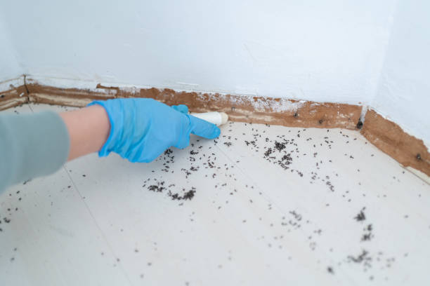 Wildlife Control Services in Eaton Rapids, MI