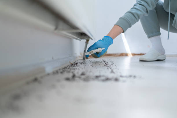 Best Pest Removal Services  in Eaton Rapids, MI