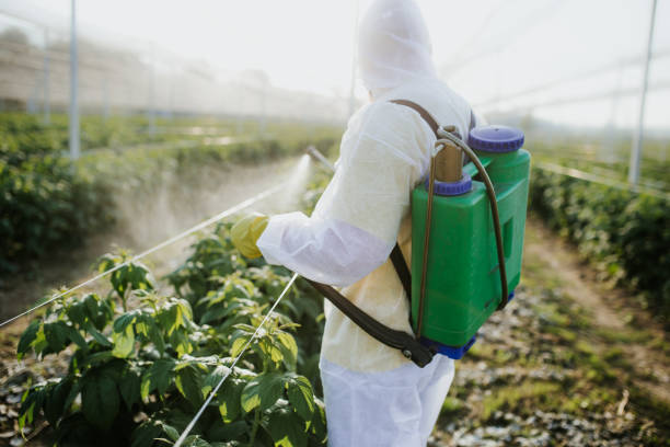 Best Emergency Pest Control  in Eaton Rapids, MI